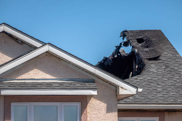 Top rated local Odor Removal specialists in Hillsborough, NJ